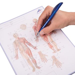 Notatnik meridianów akupunktury; FR