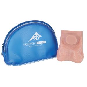 Model jądra, jasna skóra