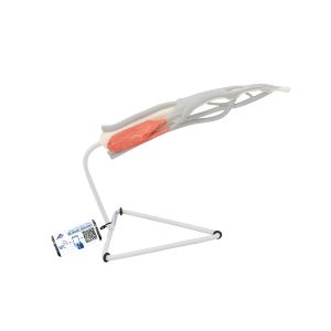 Naturalnej wielkości model palca z mięśniami i ścięgnami - 3B Smart Anatomy