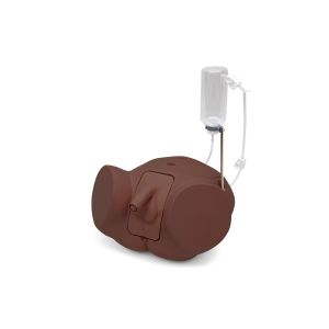 Symulator cewnikowania Pro-Męski, ciemna skóra