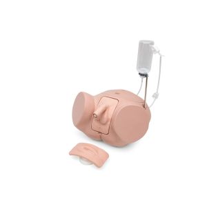 Zestaw symulatora cewnikowania Pro, jasna skóra