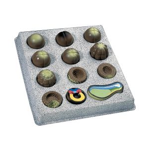 Rozwój embrionalny żaby trawnej (Rana temporaria), 12 etapów