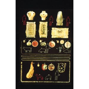 Pasożyty jelitowe I Wykres