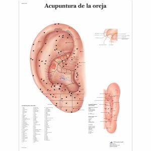 Acupuntura de la oreja
