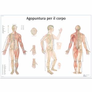 Agopuntura por il corpo