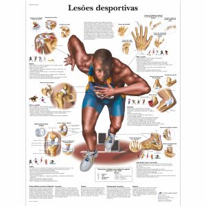 Lesoes esportivas, 50x67 cm, Laminado