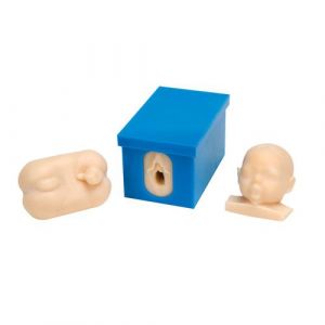 Fetal Monitoring and Labor Progress Model Set