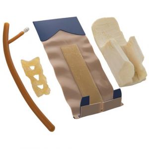 Skóra, mięśnie i rdzeń kręgowy