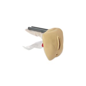 Wymiana narządów płciowych (pełna, zaawansowana i osłuchiwanie), kobieta