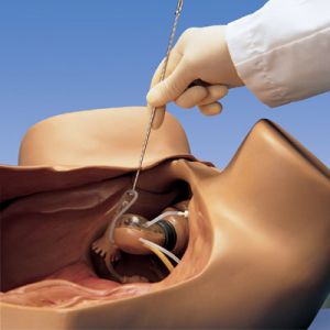 ZOE® Gynecologic Simulator, Light