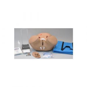 Male & Female Catheterization & Ostomy Care Simulator