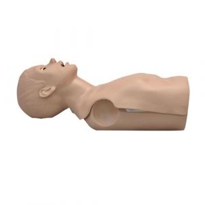 CPR SIMON® Torso Simulator