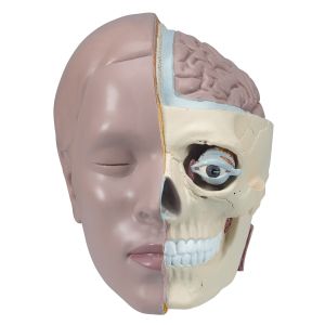 Zapasowa głowica, 2 części