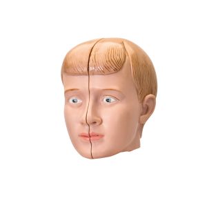 Wymienna głowica do modelu Mini-Torso